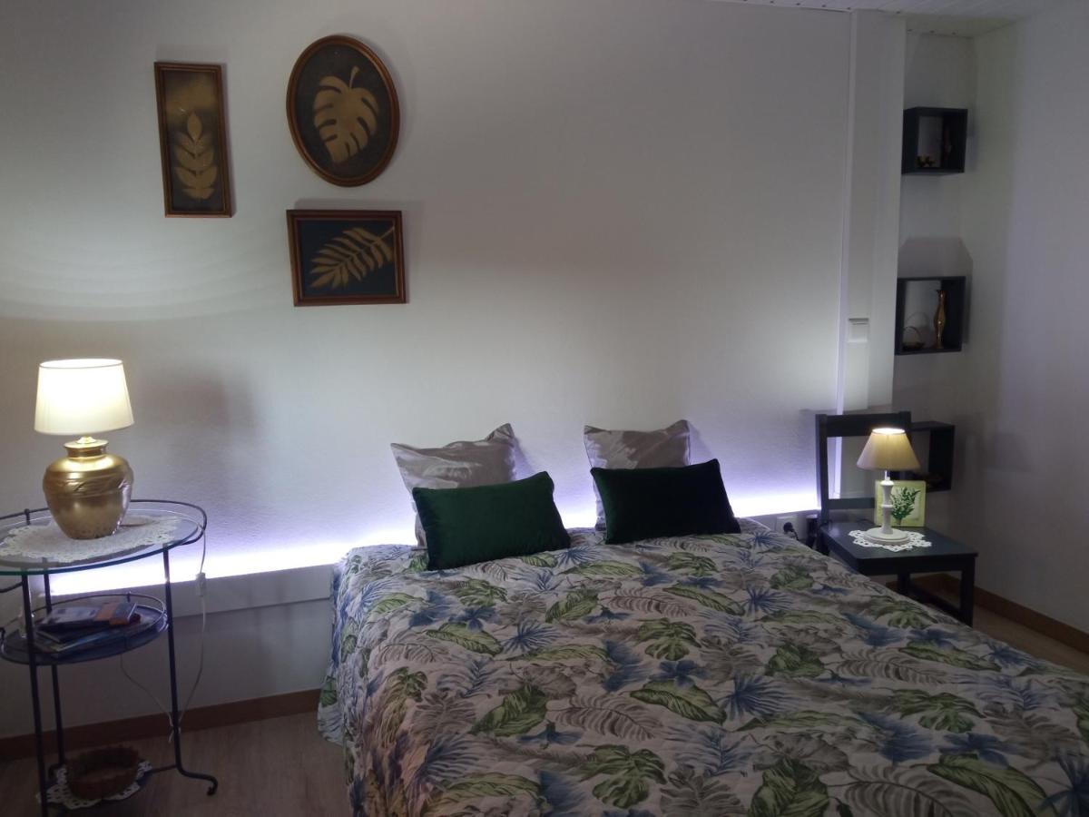 Azevinho Guest House Seia Kültér fotó